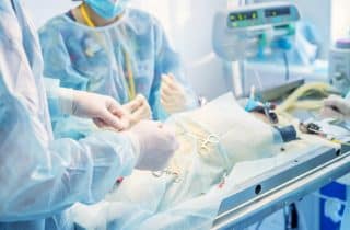 Hizmetler - Kedi ve Köpek Genel Cerrahi Operasyonları