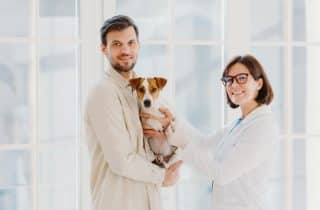 Hizmetler - Kedi ve Köpek Hospitalizasyon Hizmetleri