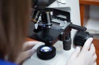 Hizmetler - Kedi ve Köpek Kan Tahlili