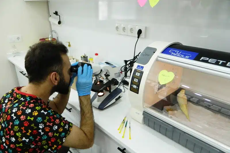 Başakşehir Acil Veteriner Kliniği 4 Kuşlara Özel Yoğun Bakım - 7/24 Acil Veteriner Patikaya