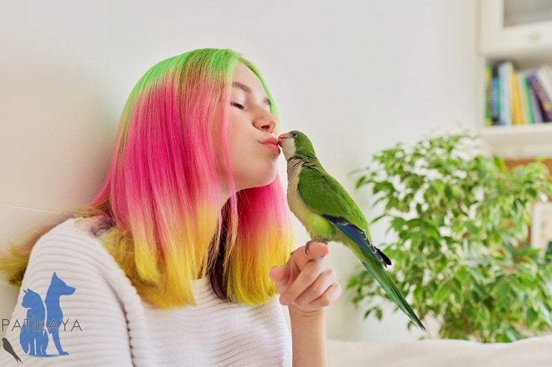 Papağan Türleri ve Özellikleri 1 Papağan Türleri ve Özellikleri