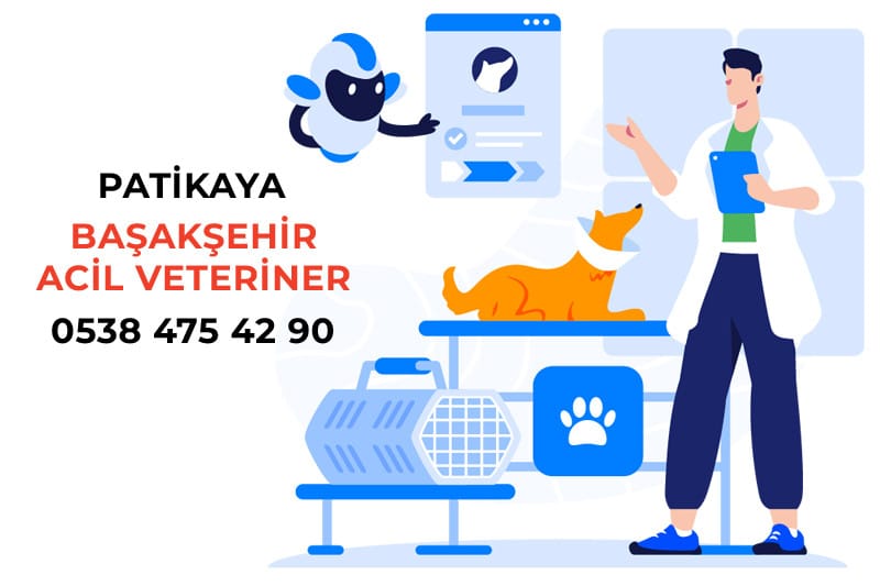 Başakşehir Acil Veteriner Kliniği 1 Başakşehir Acil Veteriner Kliniği Patikaya - 0538 475 42 90
