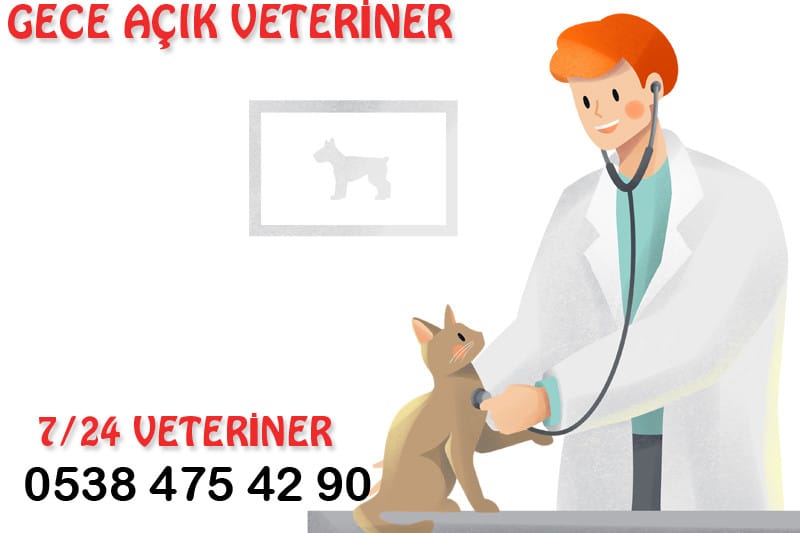 En İyi Veteriner 4 En İyi Veteriner Kliniği Patikaya Başakşehir