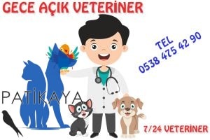 7/24 Açık Nöbetçi Veteriner Patikaya 3 Gece Açık Veteriner Patikaya