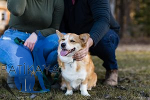 Hayvan Hastanesi Veteriner Patikaya: Dostlarımızın Sağlığı İçin İnovatif Yaklaşımlar