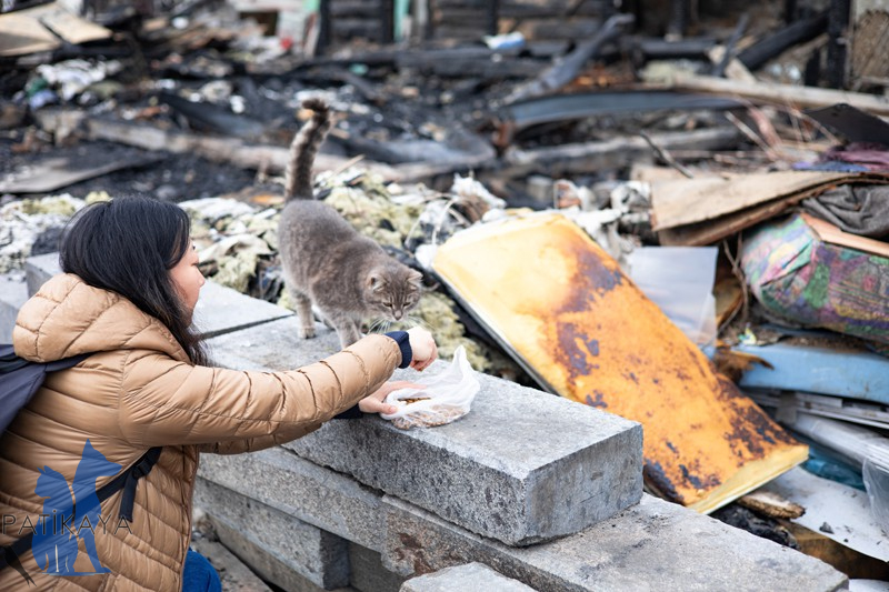 Deprem Anında Evcil Hayvanlarımızı Nasıl Koruruz? 3 Deprem Anında Evcil Hayvanlarımızı Nasıl Koruruz?