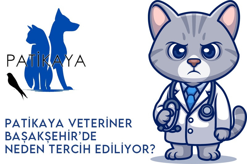 Patikaya Veteriner Başakşehir’de Neden Tercih Ediliyor?