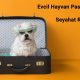 Evcil Hayvan Pasaportu ve Seyahat Rehberi