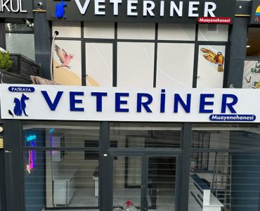 Başakşehir 7/24 Acil Veteriner Kliniği | Nöbetçi Veteriner - Patikaya